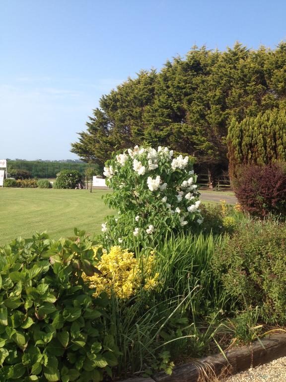 Abrae House Guest House Rosslare Harbour Екстериор снимка